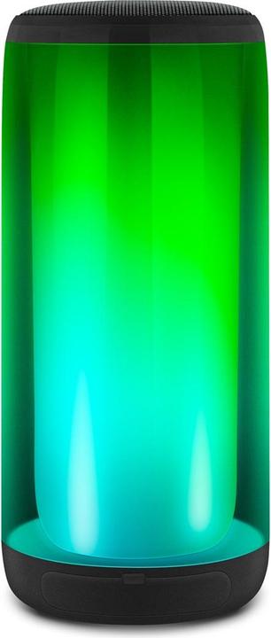 Actual product image Toshiba Haut-parleurs RMS x2 (Battery operated)