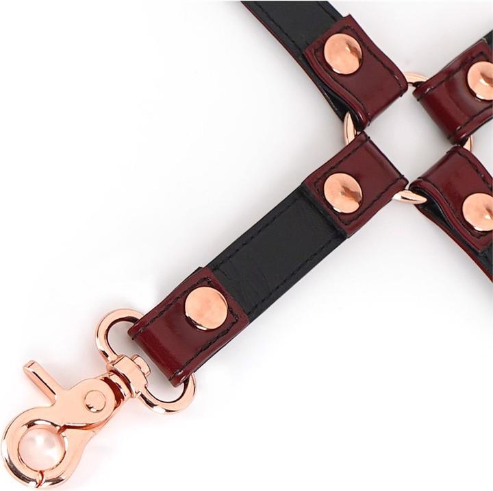 Produktbild Liebe Seele 4er Lederfessel Hogtie mit Clips