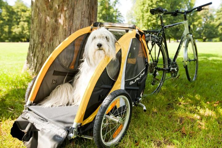 Produktbild Burley Tail Wagon