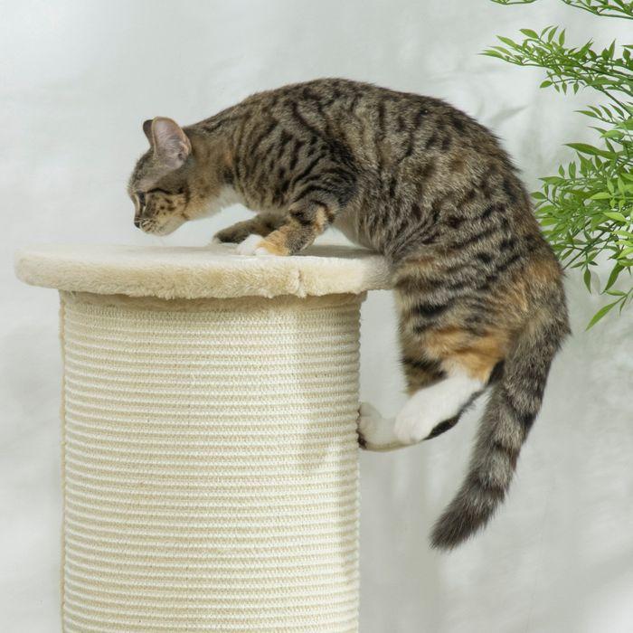 Produktbild Jamb Kratzbaum (85 cm, Cremeweiss)