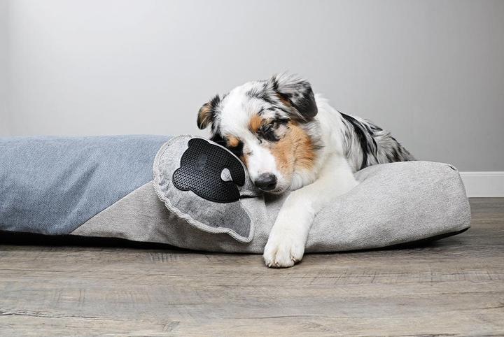 Actual product image EBI D&D Home Dog Toy Bobo Oxford