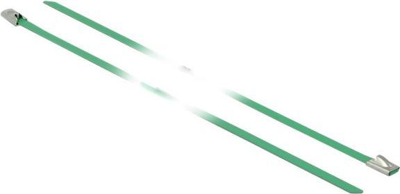 Actual product image Delock Stainless steel cable tie 500x4,6 10 pcs. (Metal cable ties, 500 mm, 10 pcs.)