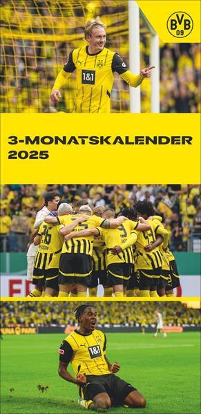 Actual product image BVB 3-Month Planner 2025 (33 x 68 cm, German)