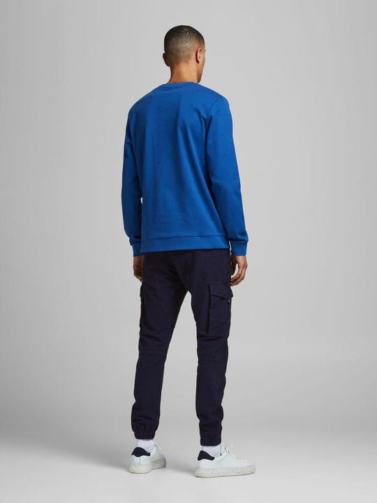 Actual product image Jack & Jones Paul Flake AKM 256 cargo pants (27)