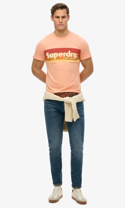 Actual product image Superdry Terrain Logo Stripe Relxed Tee (M)