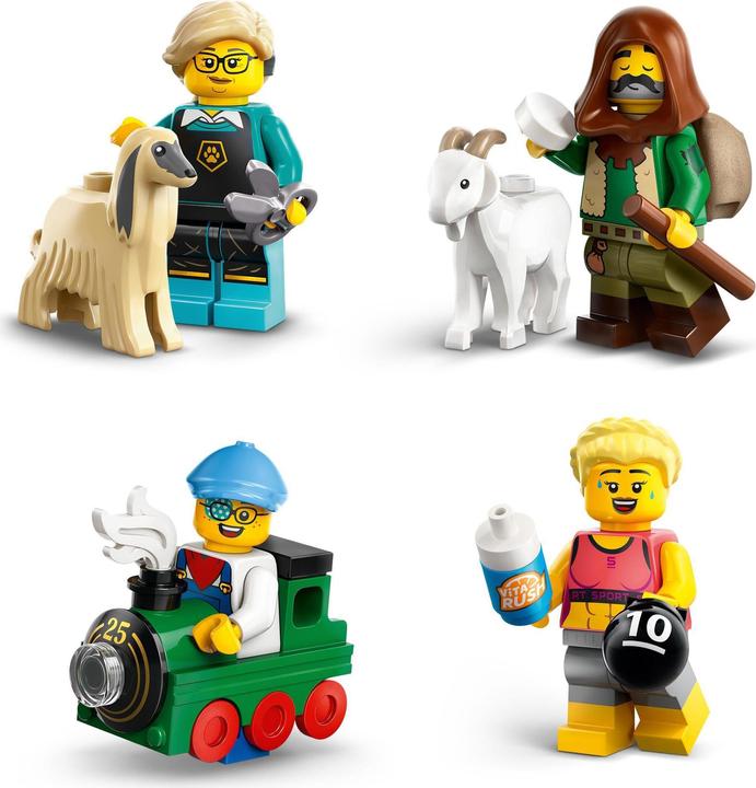 Actual product image LEGO Minifigures Series 25 (71045, LEGO Minifigures)