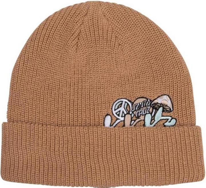 Santa Cruz Journey Beanie