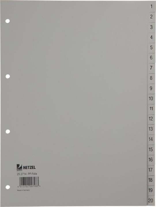Rexel Kunststoff-Register