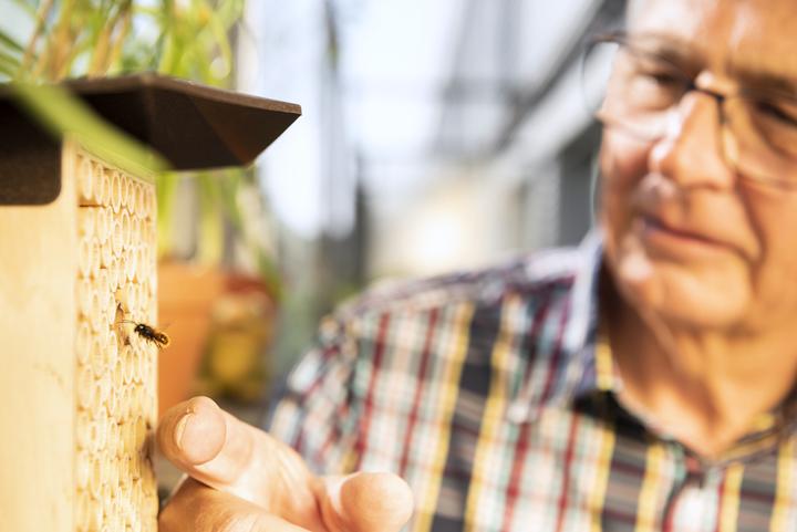 Produktbild Wildbiene BeeHome One (Wildbienen)