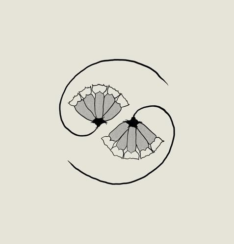 Produktbild G D/'S PEE AT STATE/'S END! (180gLP+10/") (Godspeed You! Black Emperor, 2021)