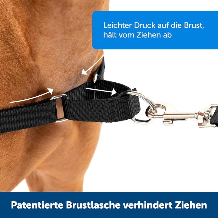 Produktbild PetSafe Easy Walk Geschirr (L, Hund, Allgemein)
