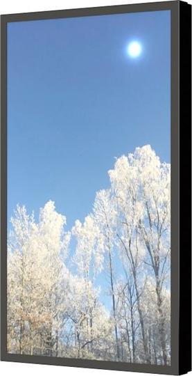 Actual product image HI-ND Wall casing Protect 50"", Landscape, QMC Black
