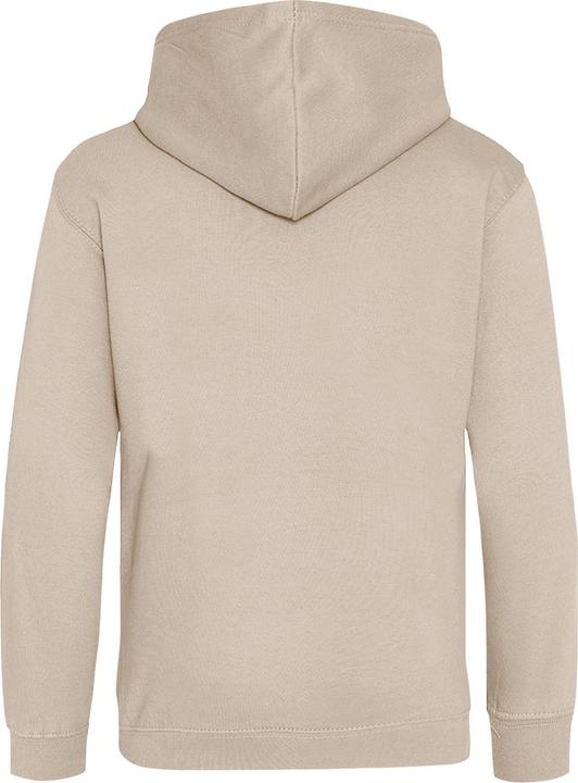 Actual product image Awdis Kids Unisex Hooded Sweatshirt / Hoodie / Schoolwear (128)