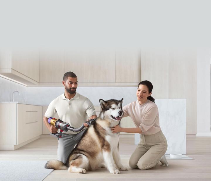 Image du produit Dyson Haustierpflegeset