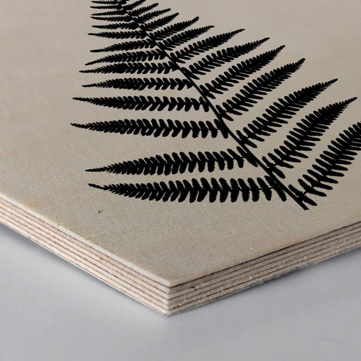 Produktbild Trenddeko Farn (35 x 30 cm)