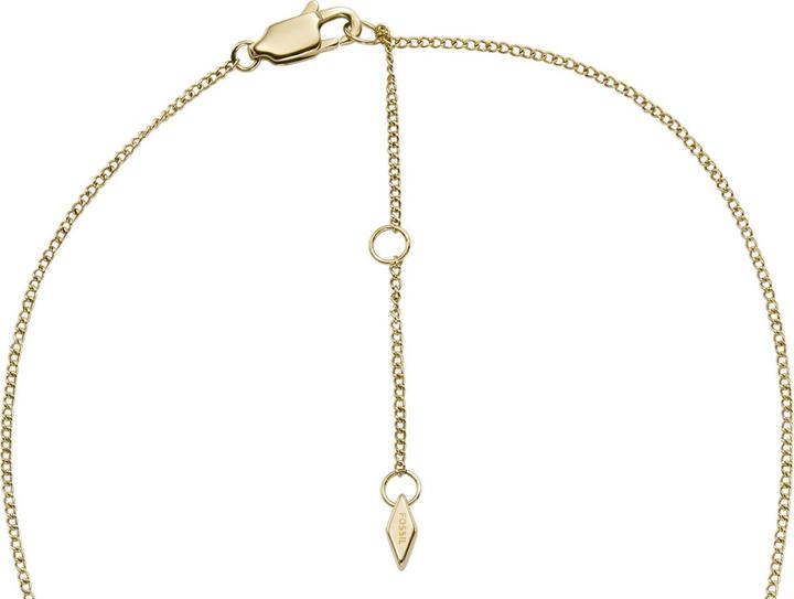 Image du produit Fossil Collier Heritage (Acier inoxydable)