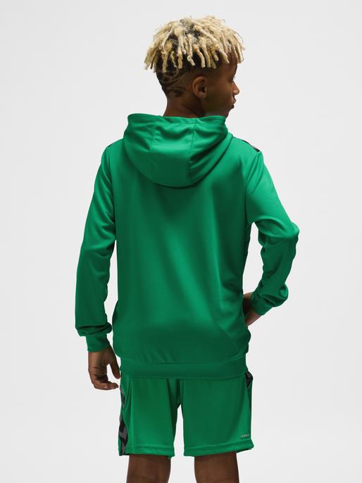 Actual product image hummel Hmlauthentic Pl Zip Hoodie Kids (128)