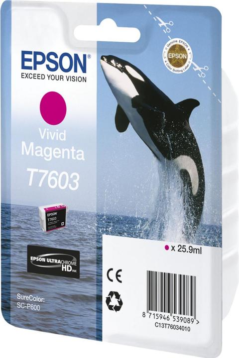 Immagine prodotto Epson T7603, Ultra Chrome HD (M)