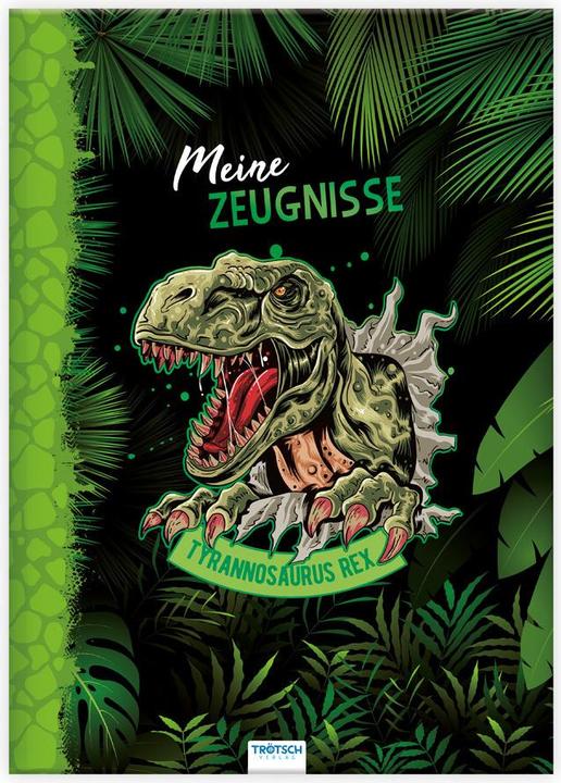 Actual product image Magni Dino report folder (A4, 1 x)