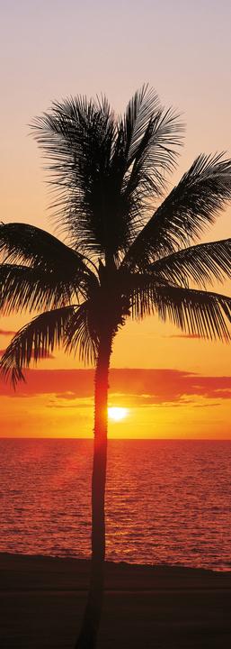Immagine prodotto Komar Pannello Hawaii (100 x 280 cm)