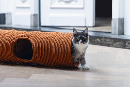 Actual product image Designed by Lotte Ribbed cat tunnel (Cat tunnel)