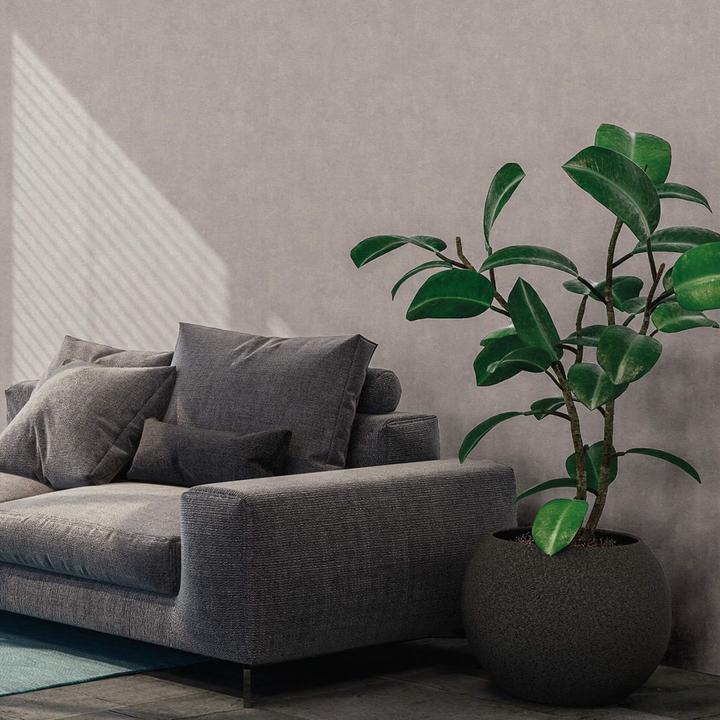 Actual product image Livingwalls New Walls Loft Living in concrete look (53 x 1005 cm)