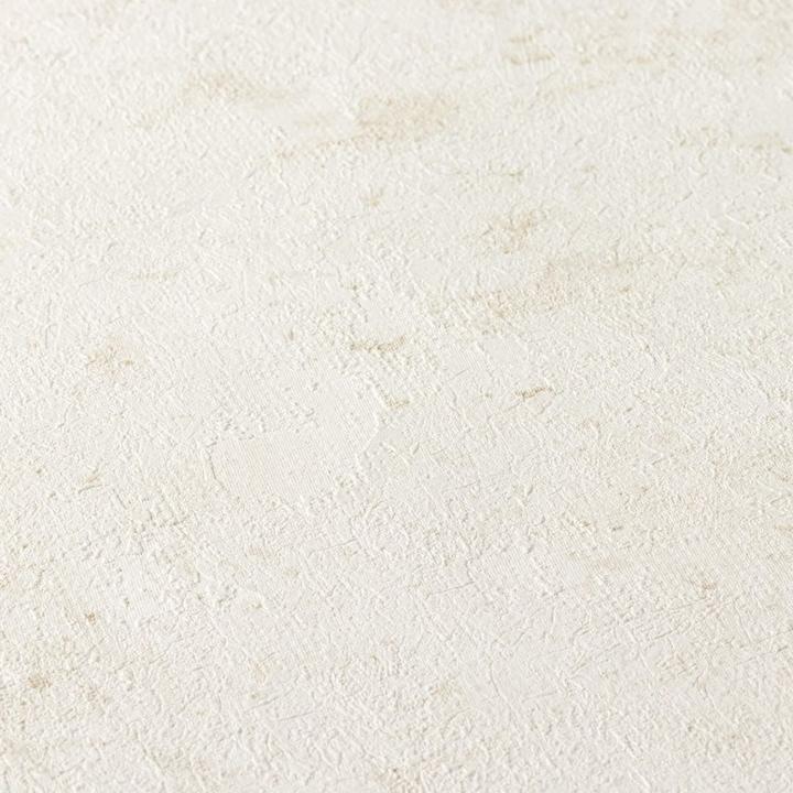 Actual product image Livingwalls New Walls Loft Living in Vintage Concrete Look (53 x 1005 cm)