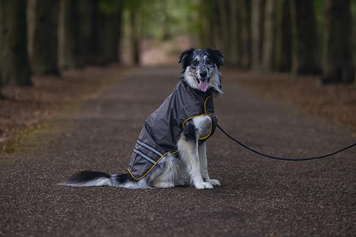 Actual product image Beeztees Dog Raincoat Seja (XL, Dog raincoat)