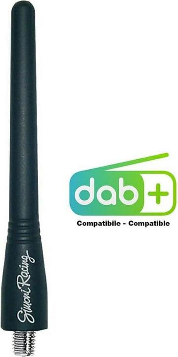 Car antennas