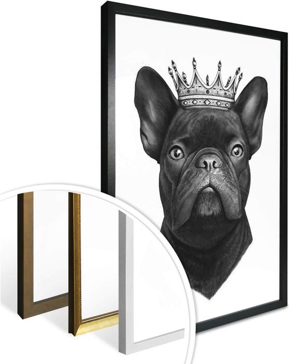 Produktbild Trenddeko King French Bulldog (24 x 30 cm)