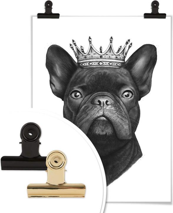 Produktbild Trenddeko King French Bulldog (24 x 30 cm)