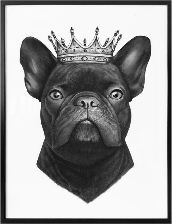 Produktbild Trenddeko King French Bulldog (24 x 30 cm)