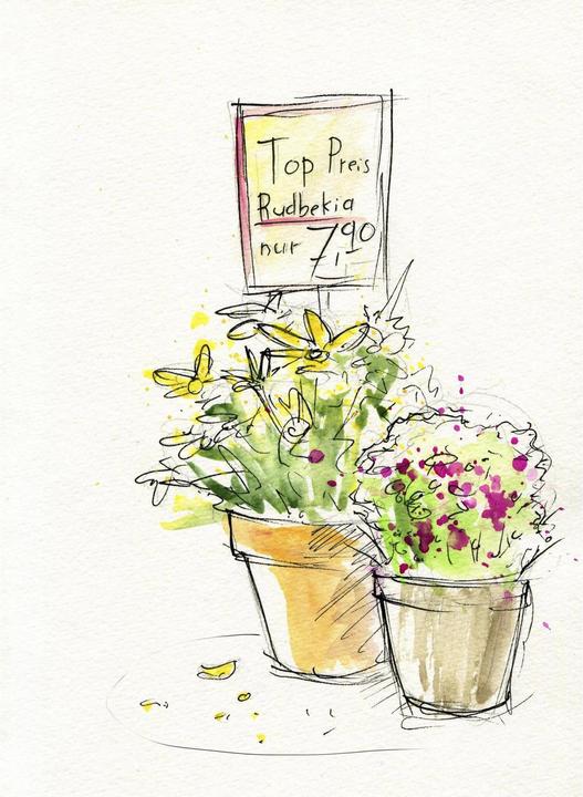 Productafbeelding Faber-Castell Aquarellen in potten (Veelkleurig, 24 ml)
