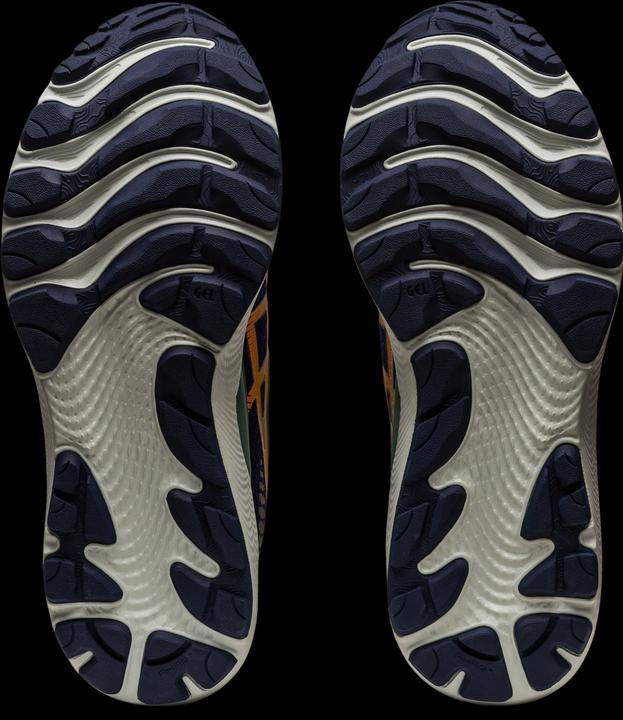 Image du produit ASICS Performance Femmes Gel-Cumulus 24 TR (40)