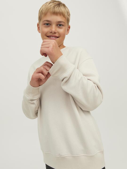 Produktbild Jack & Jones Jorvesterbro Sweat Crew Neck Bn Mni (116)