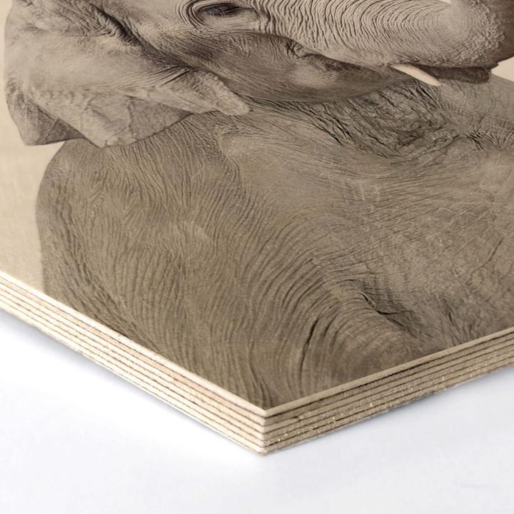 Produktbild Trenddeko Baby Elefant (55 x 47 cm)
