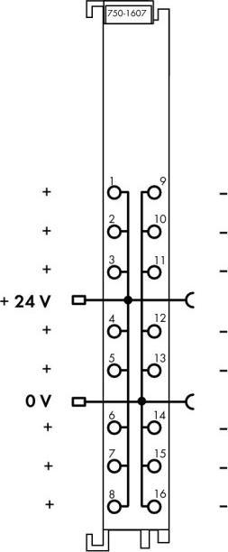 Immagine prodotto Wago Potenziale moltiplicatore di cl