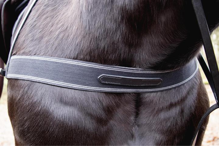 Image du produit TdeT collier de chasse pour bricole élastique