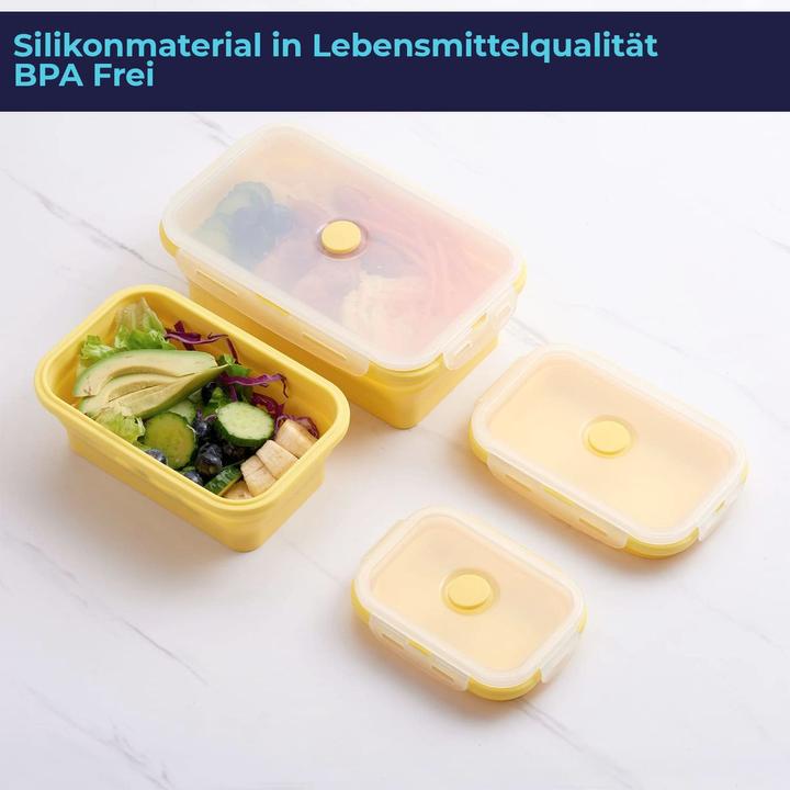 Produktbild König Design Gefrier Dosen Lebensmittel Vorrats Behälter Frischhaltedosen Deckel Faltbar (1.20 l)