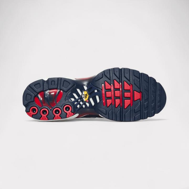 Actual product image Nike Air Max Plus (42)