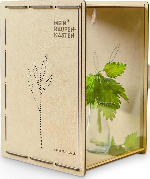 Produktbild Mein Raupenkasten Raupenkasten (Schmetterlinge)