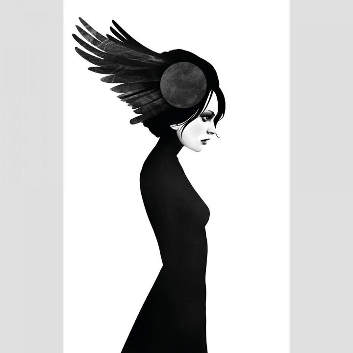 Produktbild Trenddeko Amy - Flügel (240 x 350 cm)