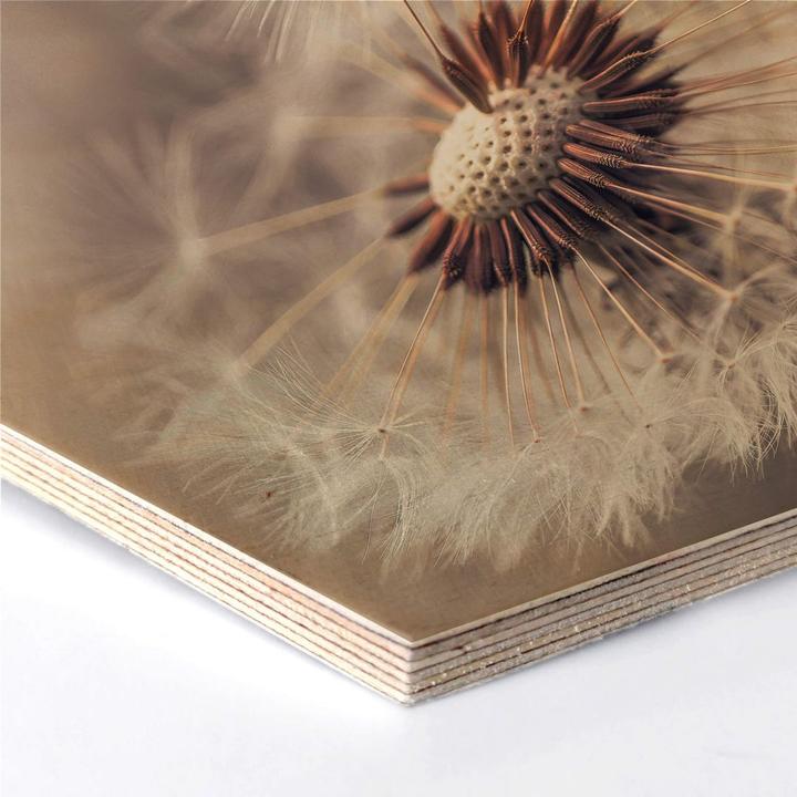 Produktbild Trenddeko Delgado - Pusteblume (25 x 22 cm)