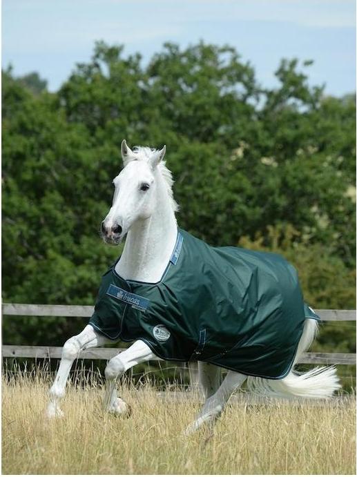 Produktbild Bucas Weidedecke Green-Line Turnout 100g