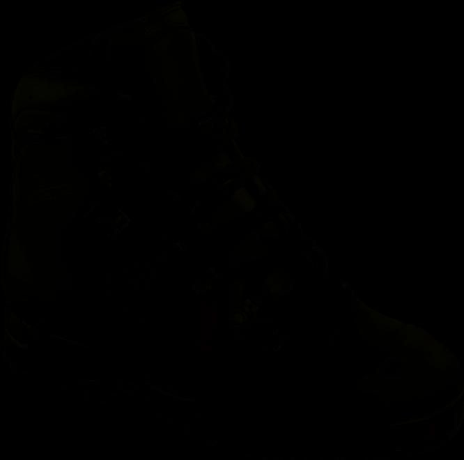 Actual product image Meindl Mountain boot S3 GTX (S3, 41)