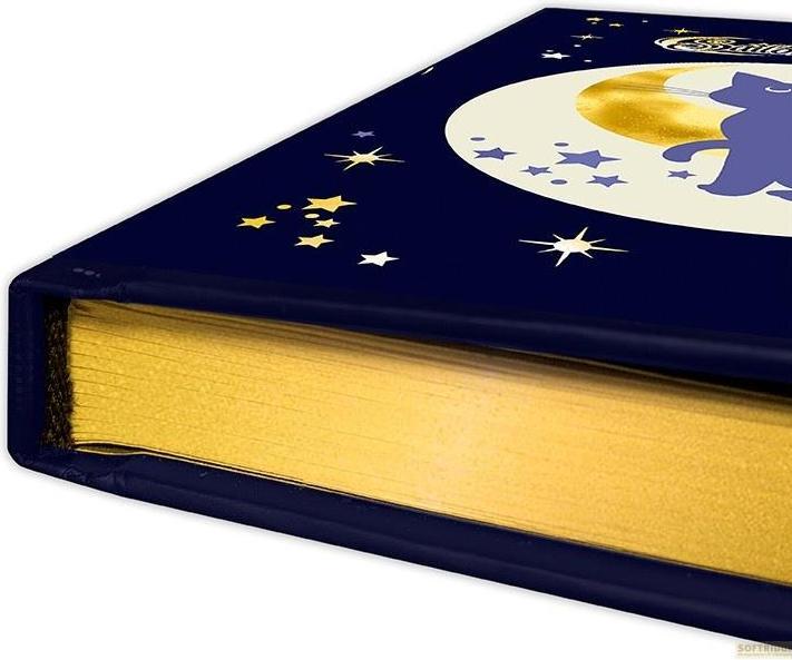 Actual product image ABYstyle Sailor Moon - Luna & Artemis (A5)
