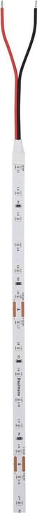 Immagine prodotto Paulmann Pro Strip Argento P25 (Verde, 500 cm, Interno)