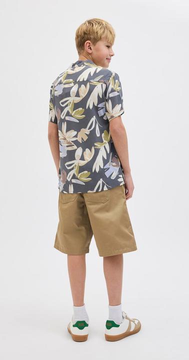 Actual product image Jack & Jones Relaxed Fit Loose Fit Shorts Loose Fit Shorts (146)