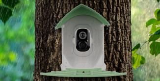 Image du produit Redleaf RD001 Caméra d'observation avec nichoir à oiseaux