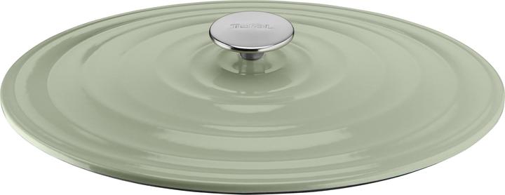 Productafbeelding Tefal LOV Gietijzeren Ovale Braadpan 34cm Lichtgroen (34 cm, Braadpan + kasserol, Steelpan, Gietijzer)